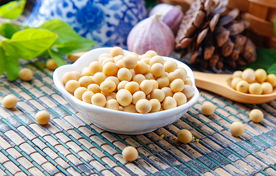 德州福猫 德州福猫