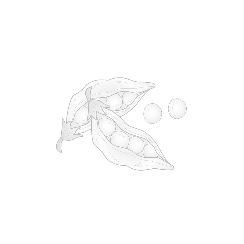 德州福猫 德州福猫